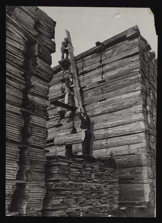 A photographic print of Industry, Timber, Miscellaneous - including Logs, Firewood