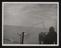 Daily Herald Photograph: Whaling