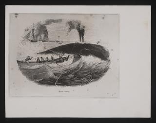 Daily Herald Illustration: Whaling