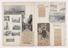 fifteen unbound pages of scrap book, 1905-1910