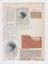 fifteen unbound pages of scrap book, 1905-1910