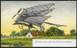 Collection of pictorial cards