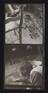 A photographic print of Films, Towner, Alfred