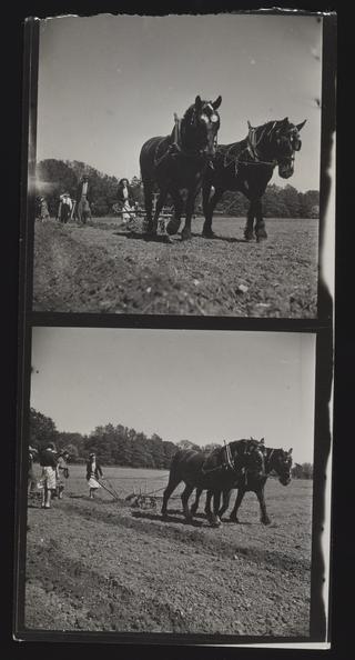 A photographic print of Industries, Agriculture, Ploughing
