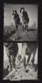 A photographic print of Industries, Agriculture, Ploughing