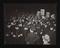 Daily Herald Photograph: Protesting the Czech Crisis