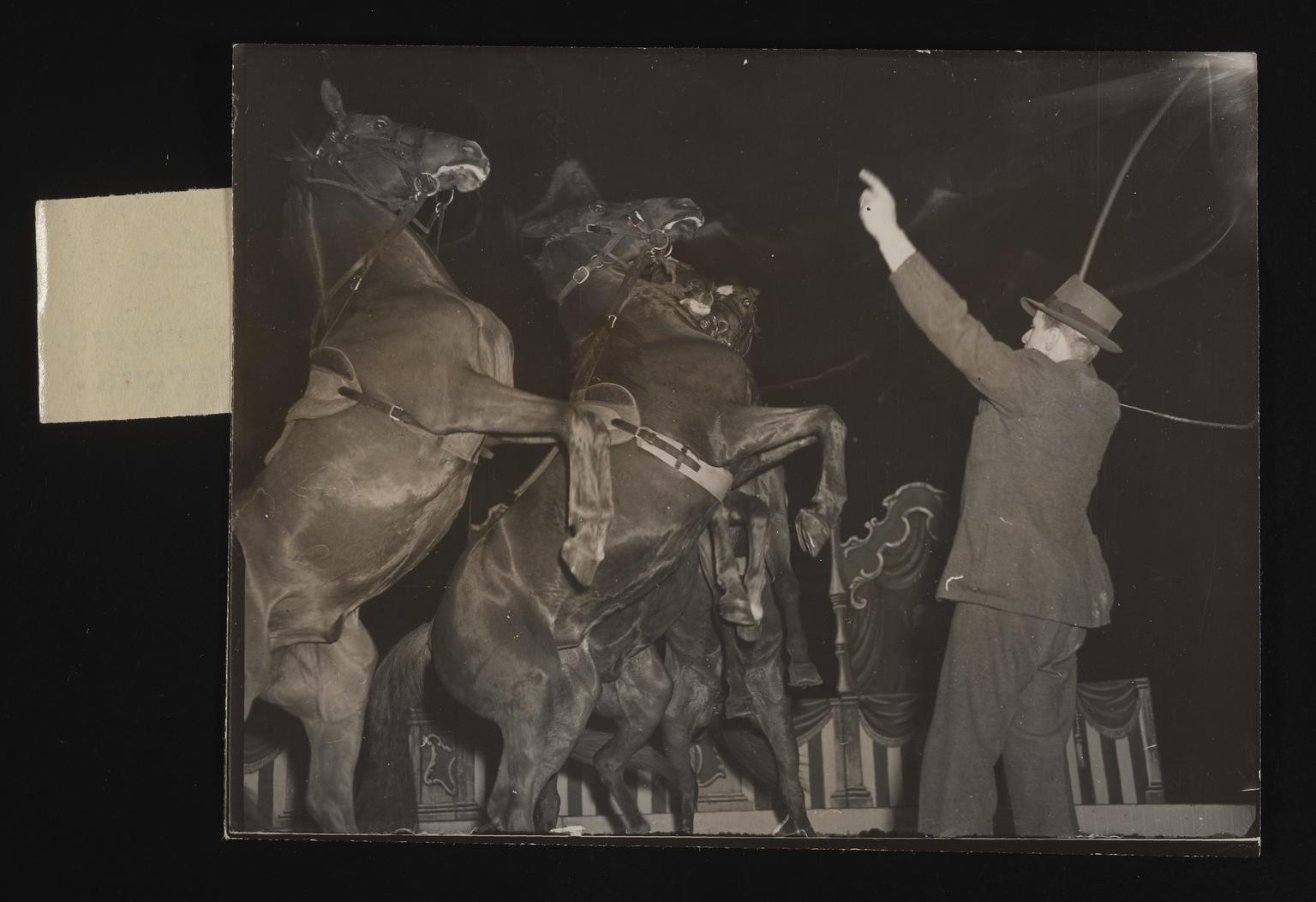 A photographic print of Circus, Performers | Science Museum Group ...
