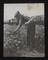 Daily Herald Photograph: Pensioner tending a railway-side garden