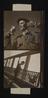 A photographic print of Birds, Pigeons