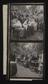 A photographic print of Babies, Shows