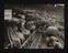 A photographic print of Sports, Tennis at Wimbledon