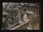 A photographic print of Sports, Tennis at Wimbledon