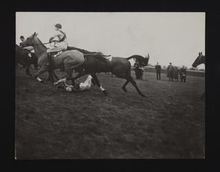 A photographic print of Sports, Racing, Race Horse Accidents | Science ...