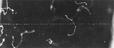 Two photographs of electron tracks in the Wilson cloud chamber