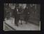 A photographic print of Police, Murders, Cheltenham, Sullivan