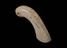 Small ivory handle from item used by John Dalton