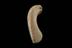 Small ivory handle from item used by John Dalton