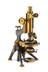 Compound Microscope