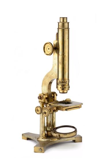 Compound Microscope