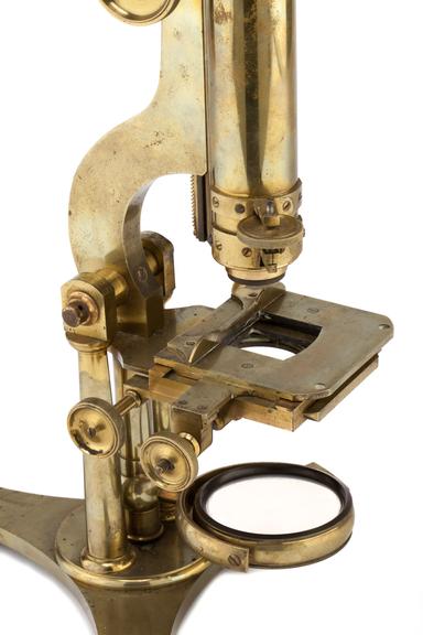 Compound Microscope