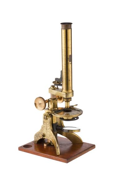 Compound Microscope