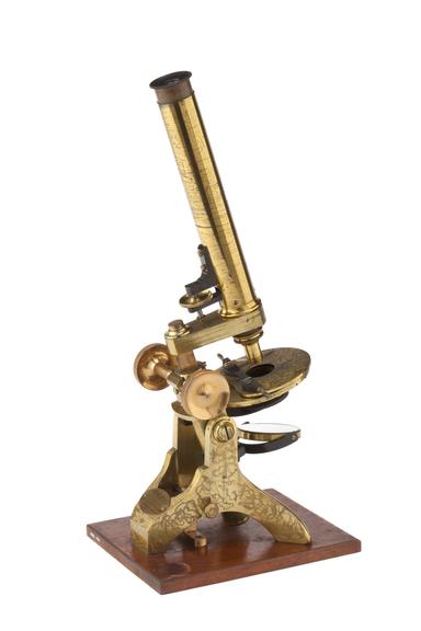 Compound Microscope
