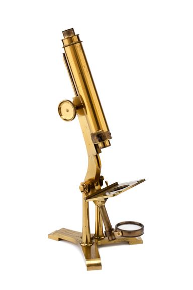 Compound Microscope