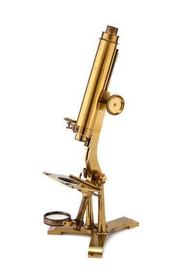 Compound Microscope