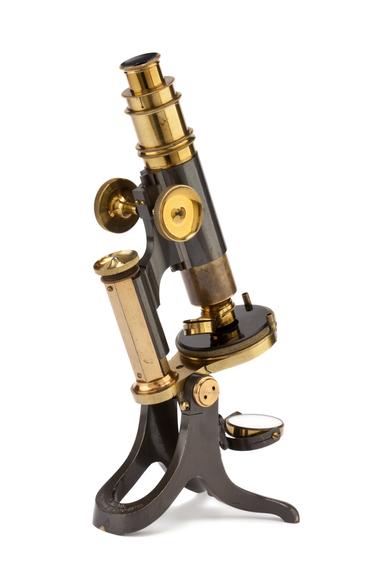 Compound Microscope