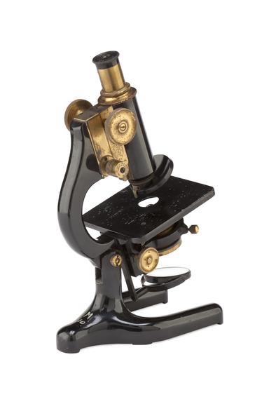 Compound Microscope