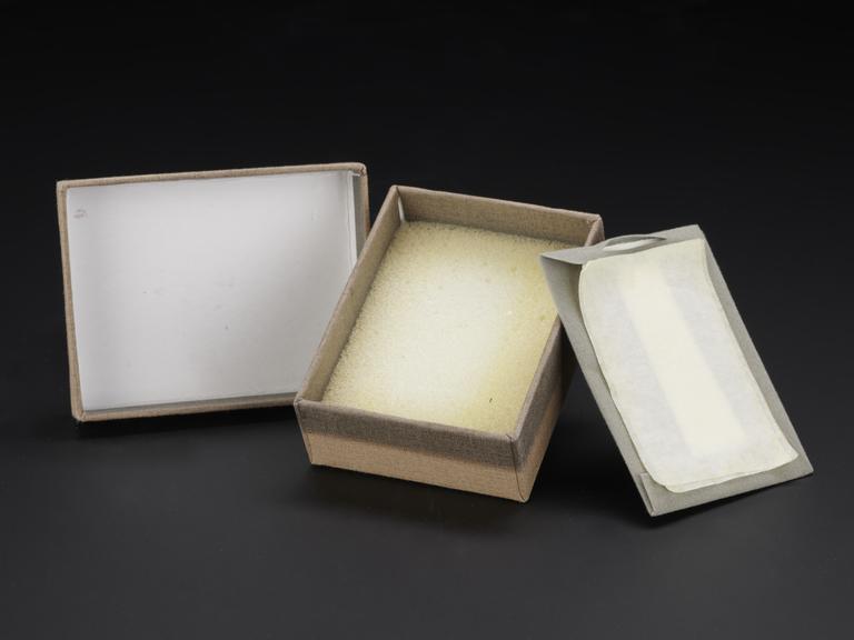 Box and packaging for Orbita Laika lapel badge