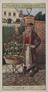 Set of 'Cries of London' cigarette cards, 1916