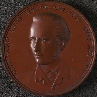 Bronze prize medal