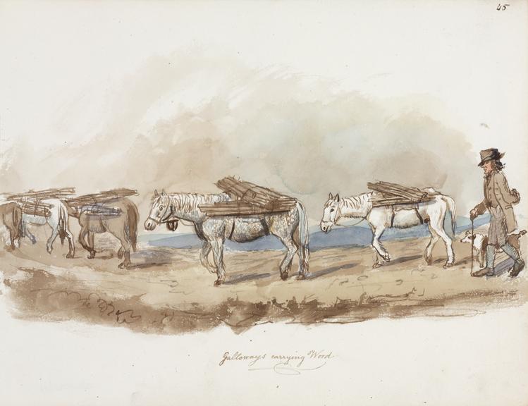 "Galloways carrying Wood"