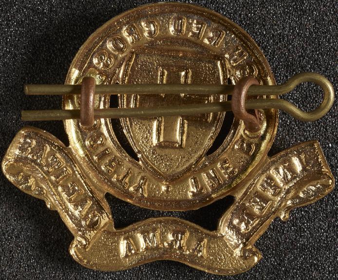 Gilt and enamelled lapel badge