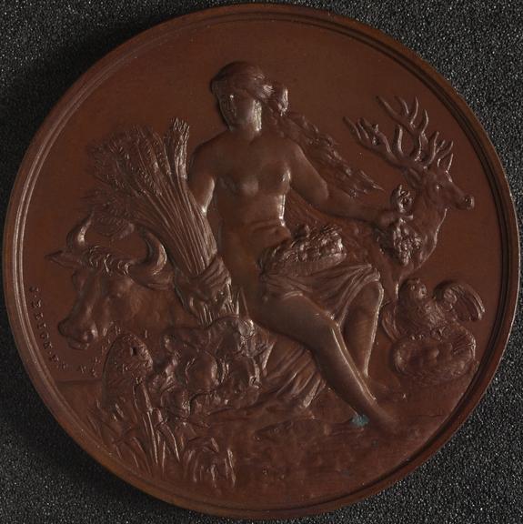 Bronze medal