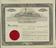 Engraved share certificate: Acme Oil Co. td.