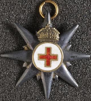 Small lapel badge