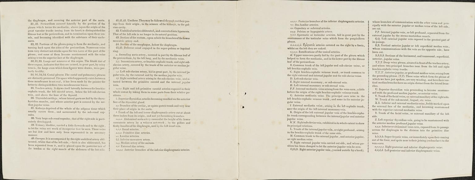 14 Anatomical prints and 4 ‘Explanation of the Plate’ pages | Science ...
