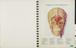 'Atlas of normal anatomy'