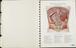 'Atlas of normal anatomy'