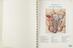 'Atlas of normal anatomy'