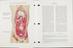 'Atlas of normal anatomy'