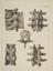 81 Anatomical prints and 62 ‘Explanation of the Plate’ pages