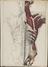 81 Anatomical prints and 62 ‘Explanation of the Plate’ pages