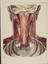 81 Anatomical prints and 62 ‘Explanation of the Plate’ pages
