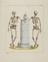 23 Anatomical Prints and 15 ‘Explanation of the Plate’ Pages