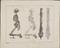 23 Anatomical Prints and 15 ‘Explanation of the Plate’ Pages