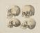 23 Anatomical Prints and 15 ‘Explanation of the Plate’ Pages