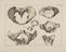 23 Anatomical Prints and 15 ‘Explanation of the Plate’ Pages